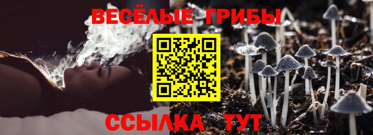 Галлюциногенные грибы Psilocybine cubensis Туапсе