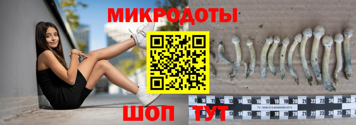 Галлюциногенные грибы Cubensis  Вход с VPN  Туапсе 